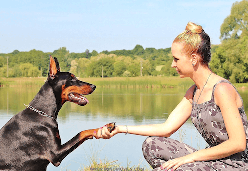 7 Reasons To Be Grateful For Your Pet