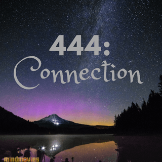 444:  Connection
