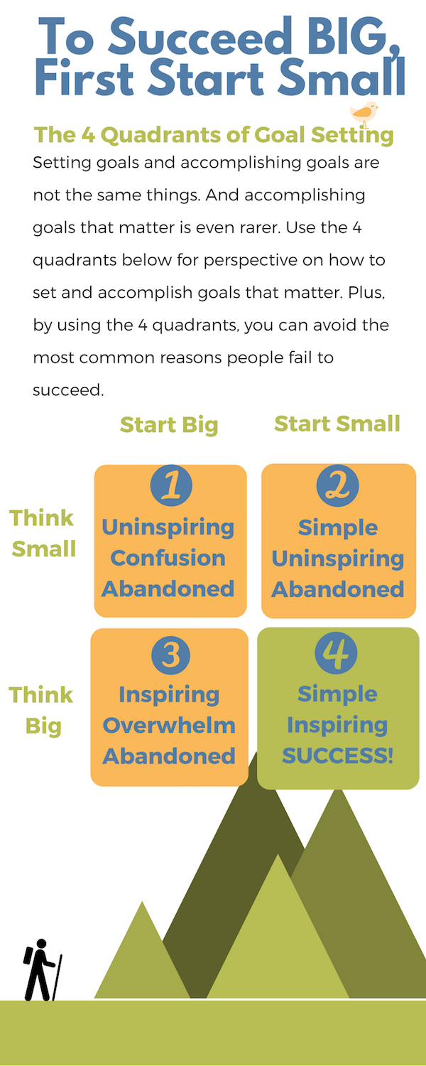 The Think Small Think Big Infographic