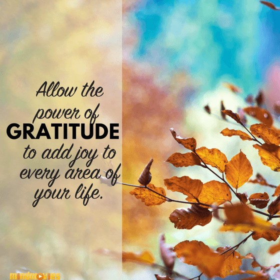 Gratitude Gains: 8 Easy Ways To Strengthen Your Gratitude Muscle