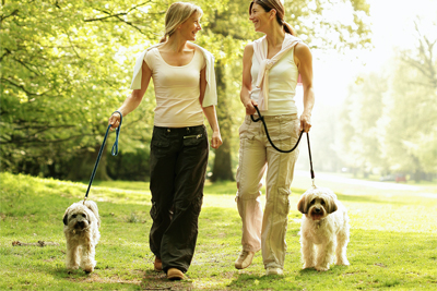 2 Women Walking Dogs