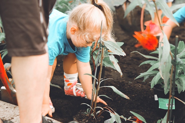Little girl planting trees