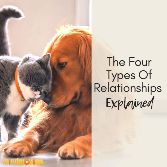 The Four Types Of Relationships Explained