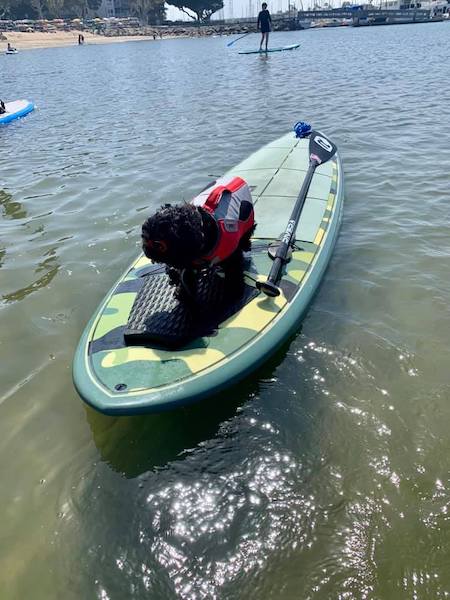 Bella on Paddleboard