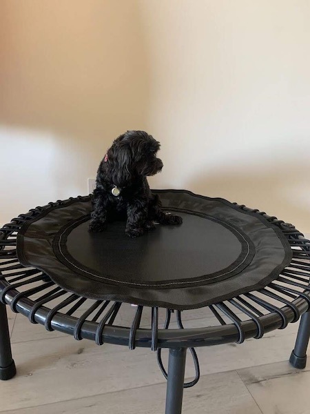 Bella Sitting on Natalieâ€™s Workout Trampoline