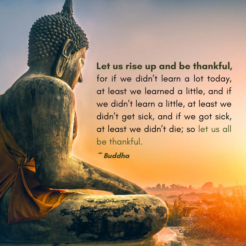 Let us rise and be thankful, for if we didn’t learn a lot today, at least we learned a little, and if we didn’t learn a little, at least we didn’t get sick, and if we got sick, at least we didn’t die; so let us all be thankful. – Buddha