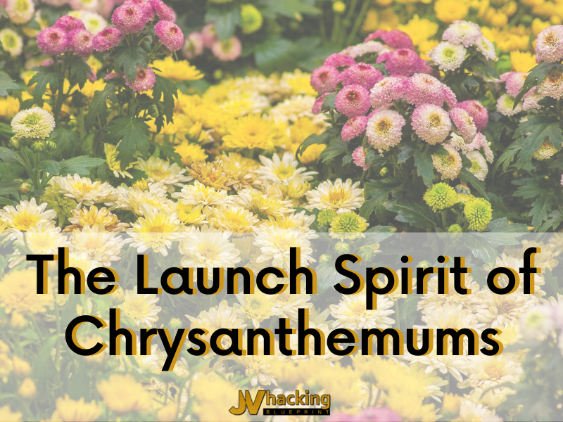 The Launch Spirit of Chrysanthemums